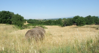 Rustico in vendita a Nepi